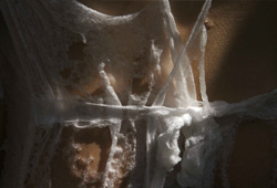 Dissolvable Work