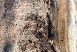 textile_scaffolds