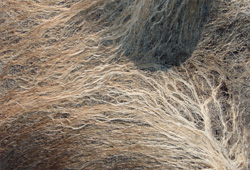 textile_scaffolds