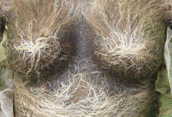 textile_scaffolds