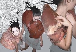 Undergraduate Folio